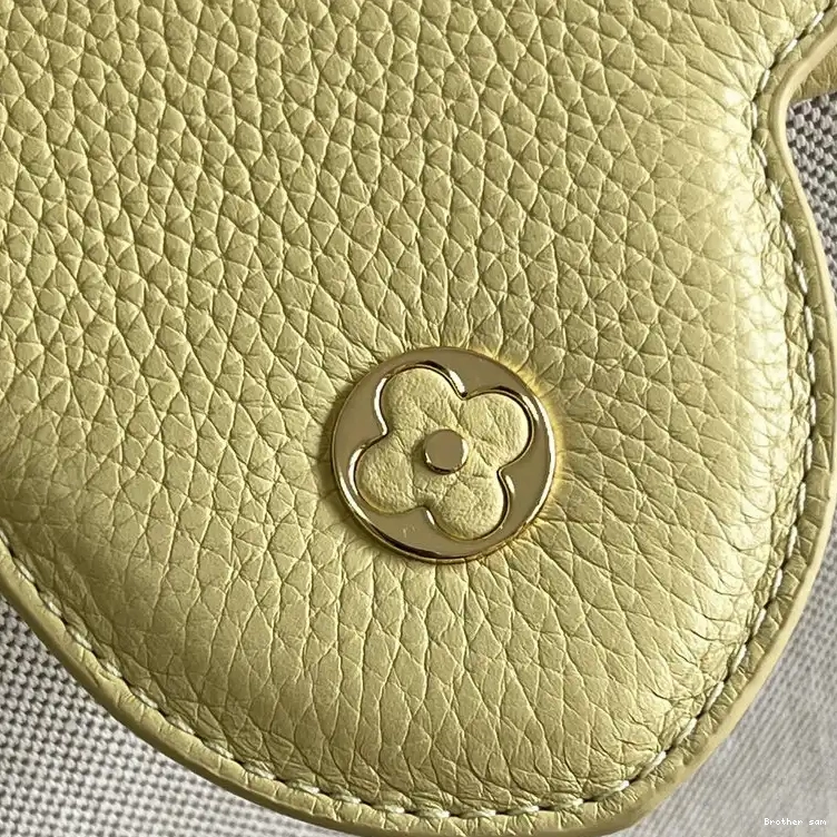 Brother sam Bag LV 2207YA0089 0813